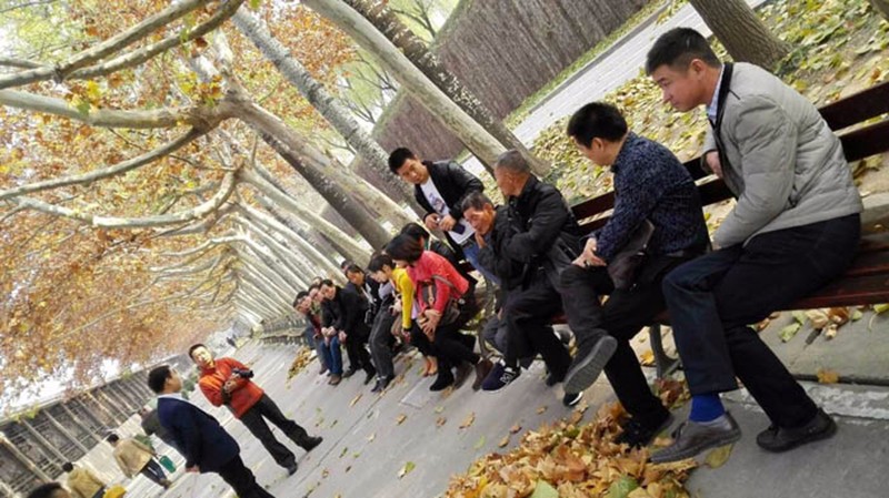 廣東筑境生態(tài)園林有限公司
