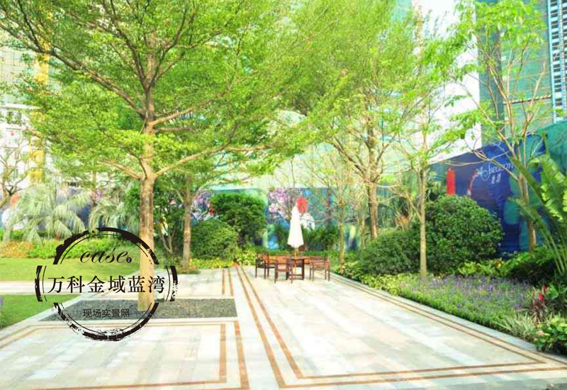 展示圖片2