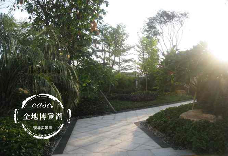展示圖片2