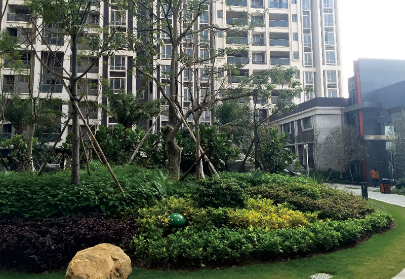 展示圖片5