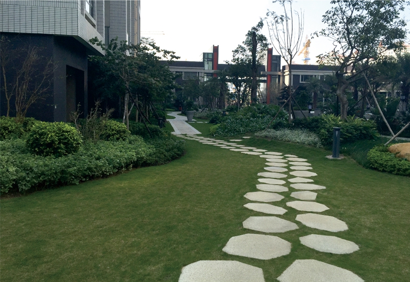 展示圖片2