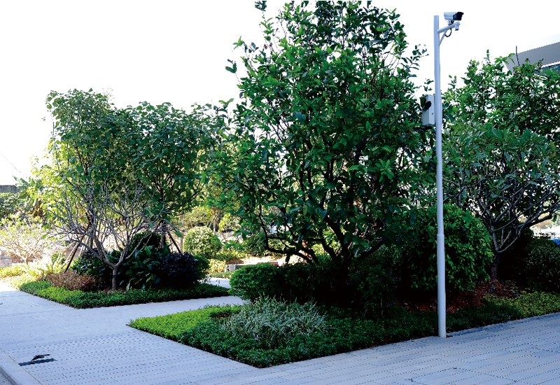展示圖片4