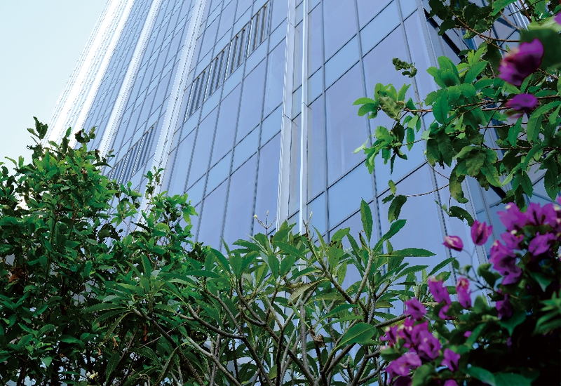 展示圖片3