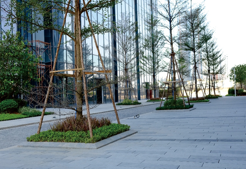 展示圖片2
