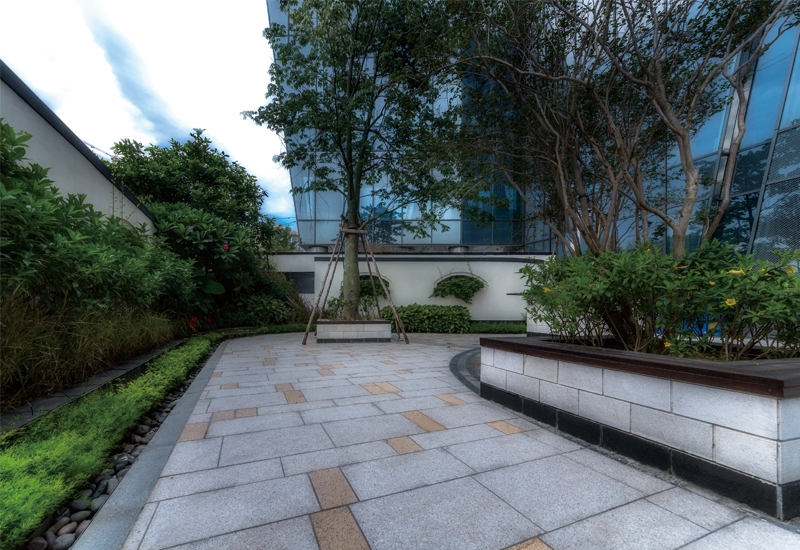 展示圖片9