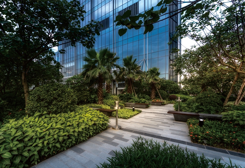 展示圖片10
