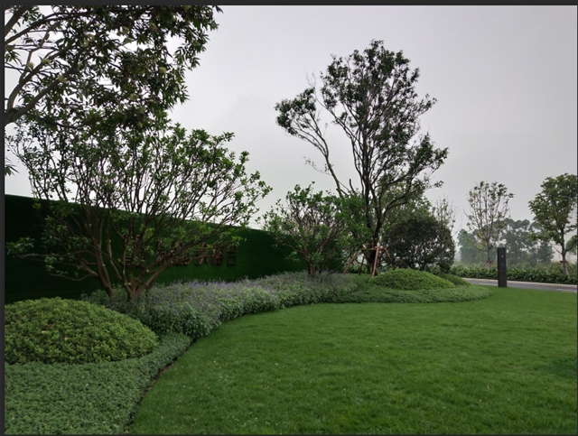 image003.jpg